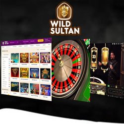 logiciels-jeux-roulette-autres-jeux-ligne-wild-sultan-casino